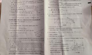 新高考一卷数学2023