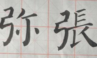 鱼字旁的字有哪些字